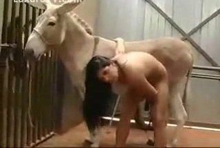 Woman Fucked By Donkey