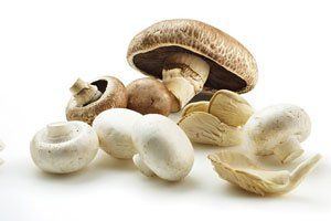 Bigs reccomend Asian mushrooms images