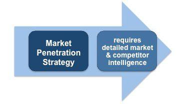 Scavenger reccomend Strategies for market penetration