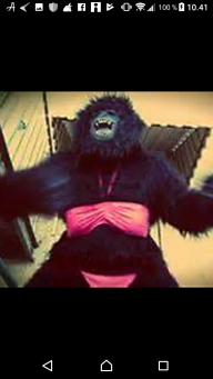 Bug reccomend Bikini gorilla image