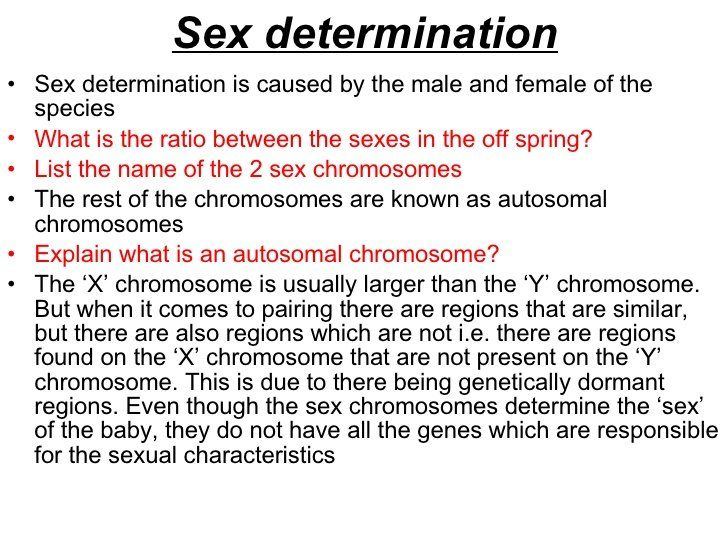 ZB reccomend Chromosone that determines sex in babies