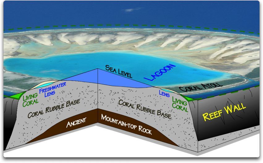 Bikini atoll eco system