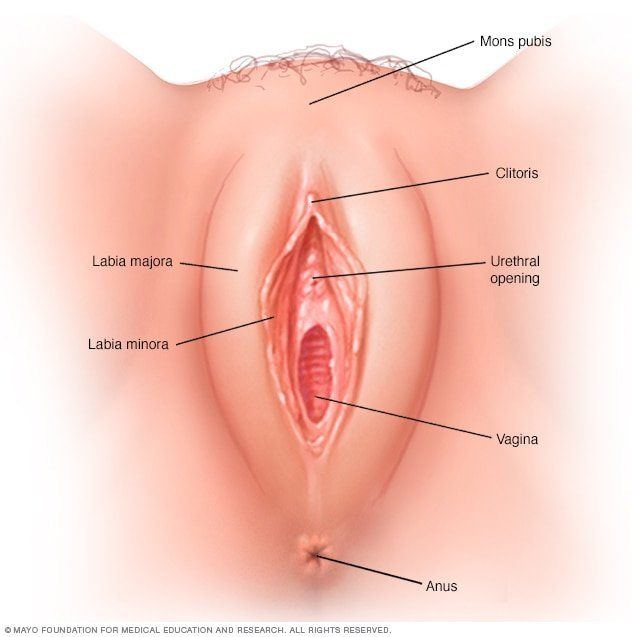 Female holes in vagina