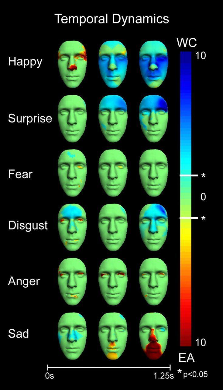 Emotion expression facial in interaction psychology social study
