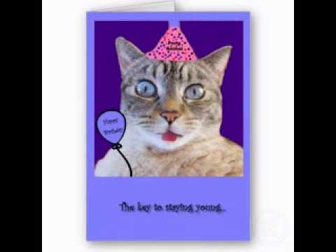 Red V. reccomend Ecard birthday funny cat