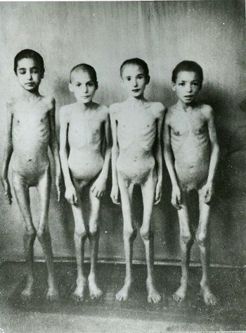 Snowdrop reccomend Boys naked concentration camp