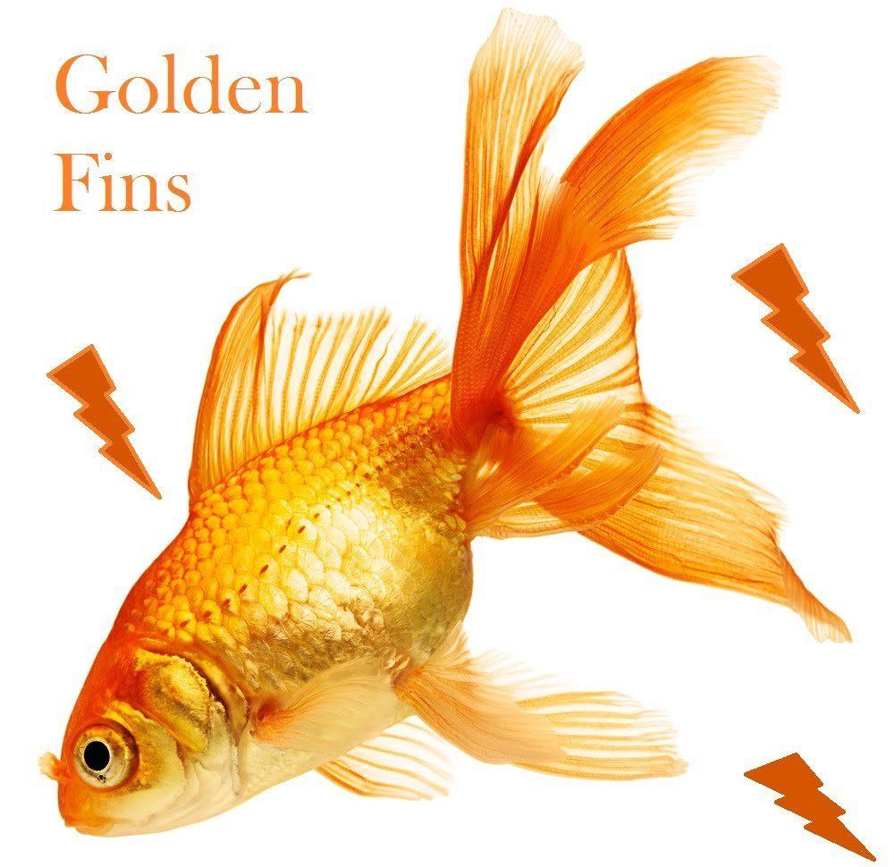 True N. reccomend How to tell sex of goldfish