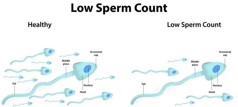 Male sperm counts