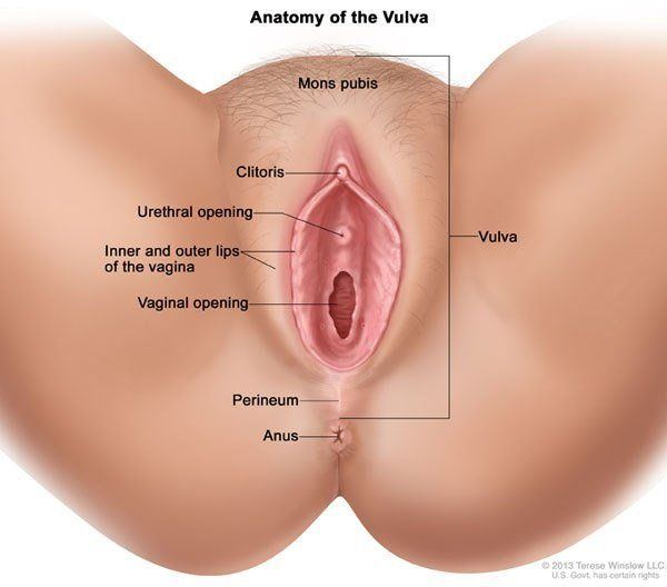 AK47 reccomend Female holes in vagina