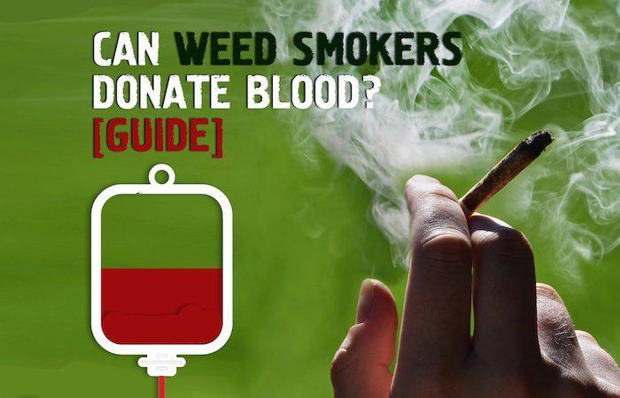 best of Weed Can smoke if donate you you plasma