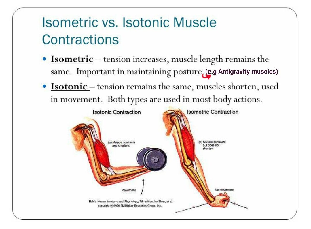 best of Facial isotonic muscle Contraction