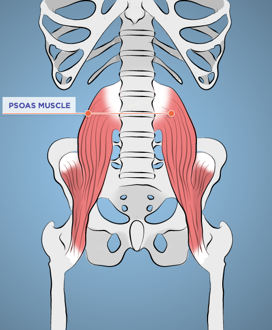 best of Orgasm Psoas muscle