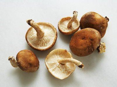 Asian mushrooms images