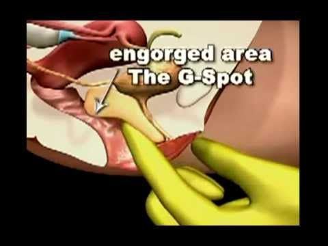 best of Guide Female g-spot orgasm