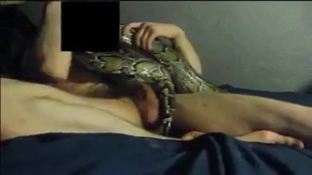Brownie reccomend Girls and snakes sex download