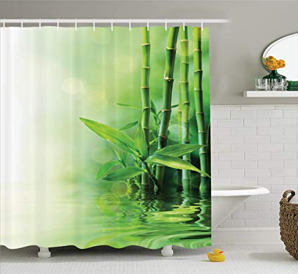 best of Shower curtain lily Asian