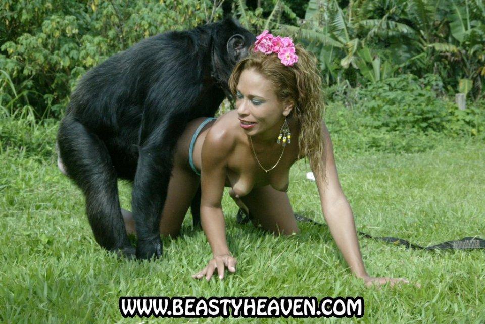 Секс Фото Девушки Трахаются С Шимпанзе.