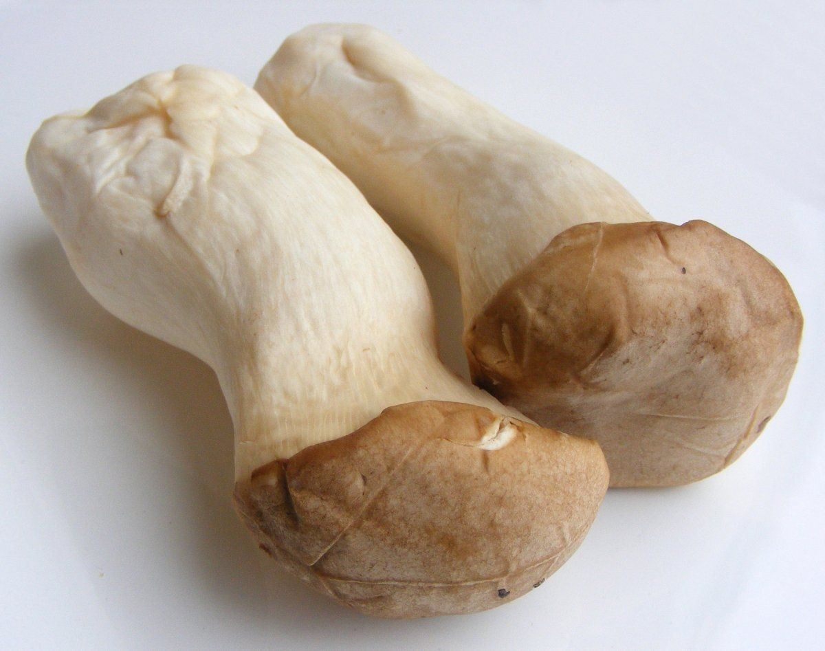 best of Mushrooms images Asian