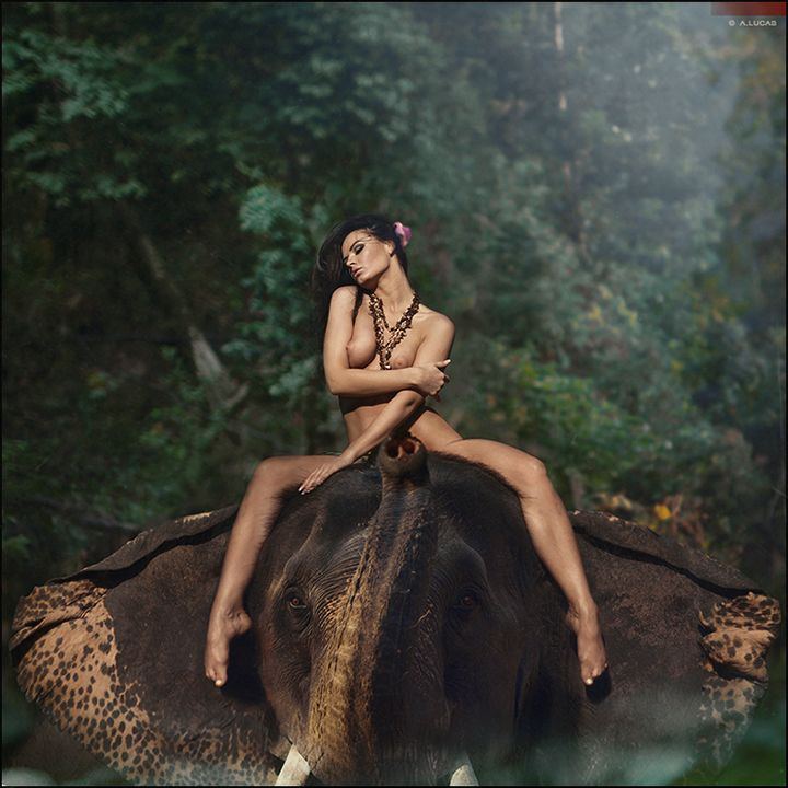 Hot elephant babe nude