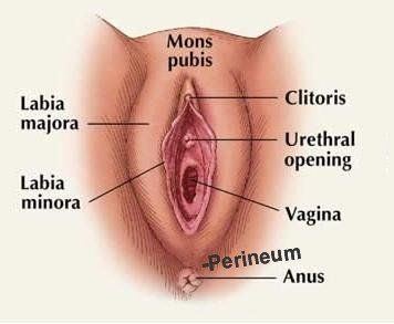 Cayenne reccomend Women clitoris health advice