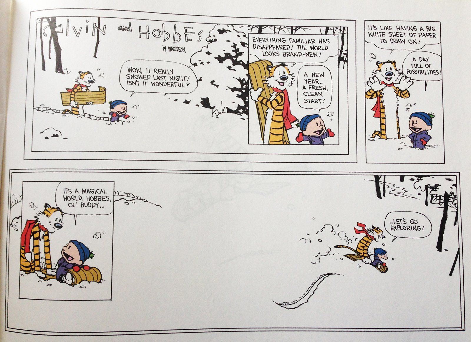 Calvin and hobbes last strip