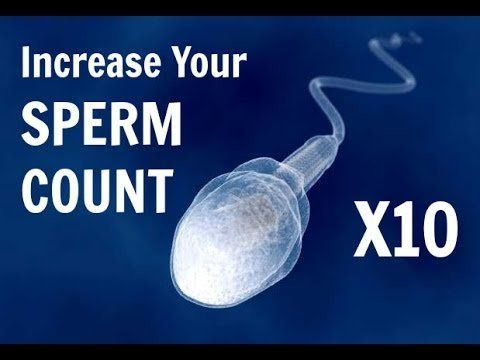 Build heavy sperm loads