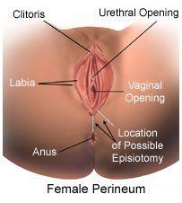 Cysts in the vagina area