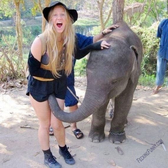 best of Girl with pic sex Elephant