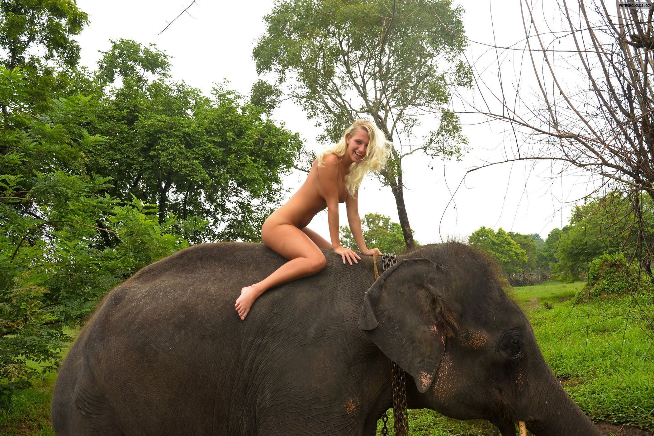 best of Nude Hot elephant babe