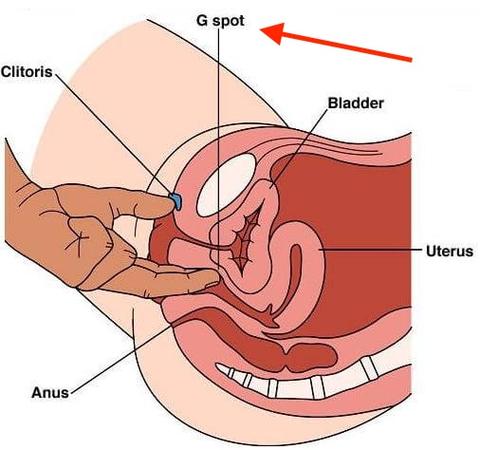 Female g-spot orgasm guide