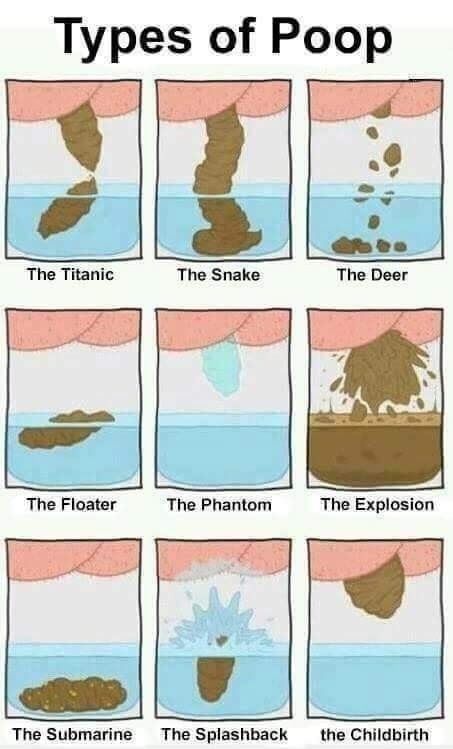 best of Chart poop Types funny of
