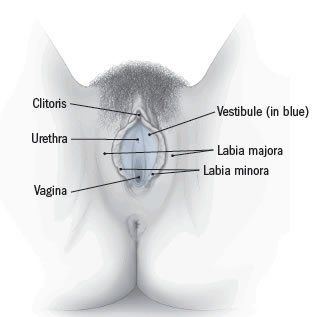 Ember reccomend Women clitoris health advice