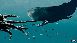 Goobers reccomend Giant sperm whale