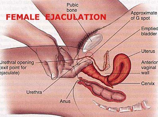 best of Tube ejaculation Girl orgasm