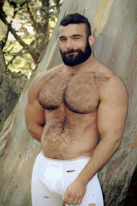 Hairy muscled gay porn stars