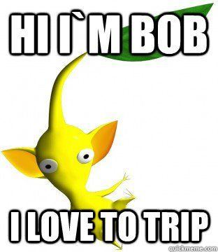 Hi i m bob