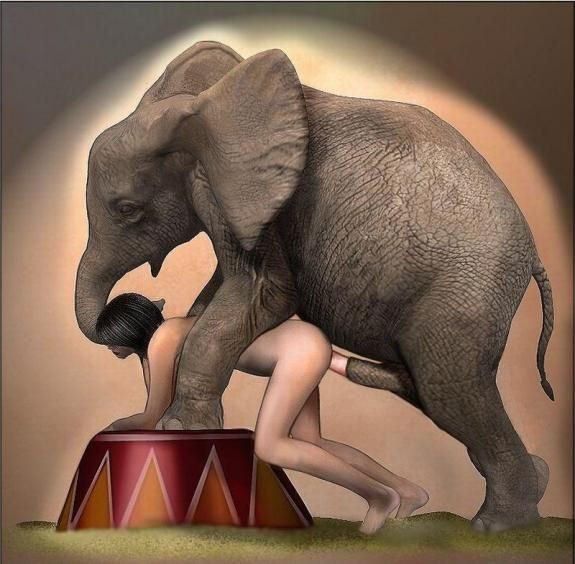 Hot elephant babe nude