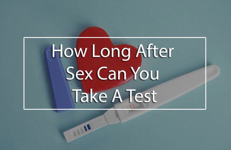 How long it takes to get pregnant after sex