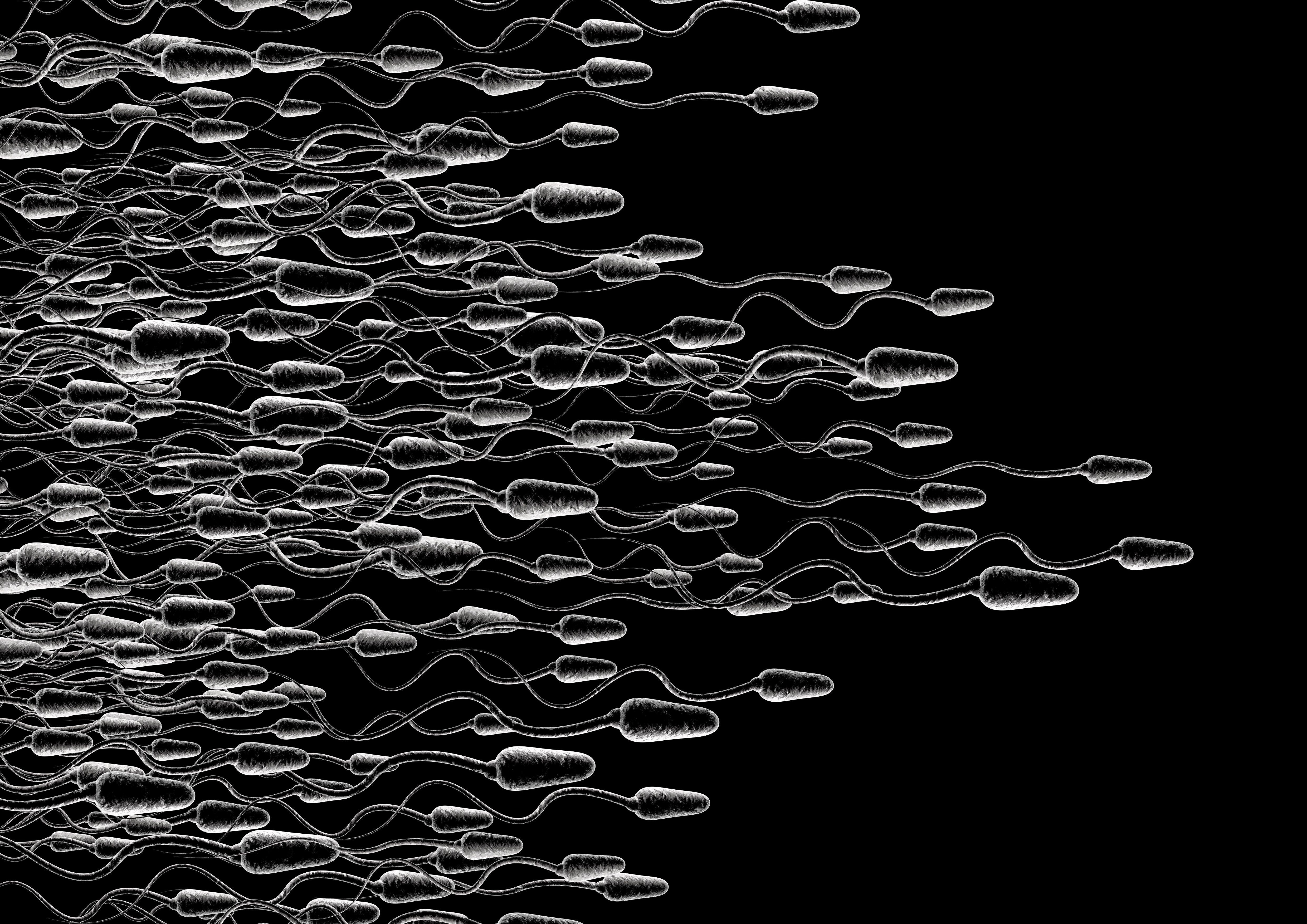 best of Sperm for collection techniques Masterbation