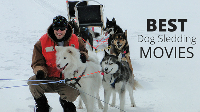 Movies about dog sledding