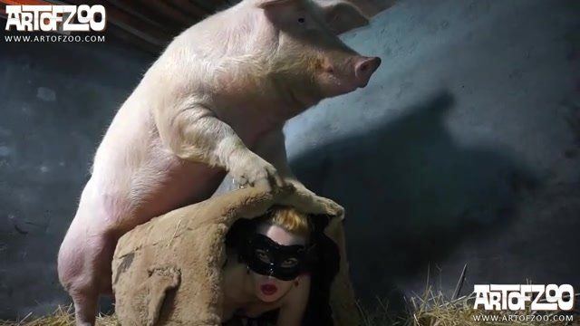 Pig And Girl Sex