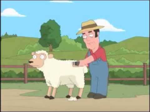 Sheep and goat fucking