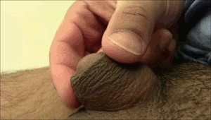 best of Penis gifs Small cumshot