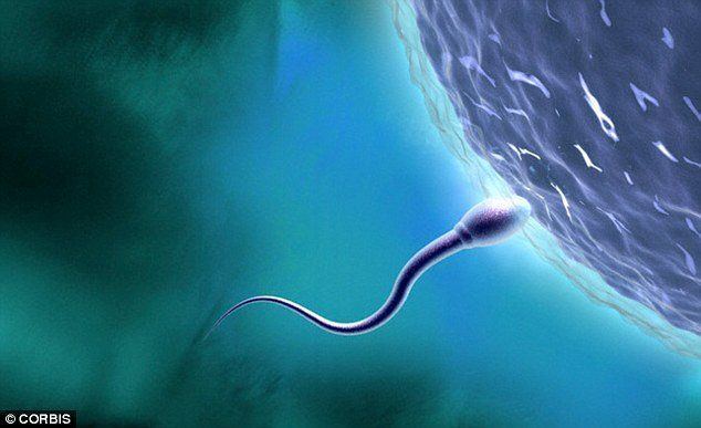 best of Caught Sperm donations